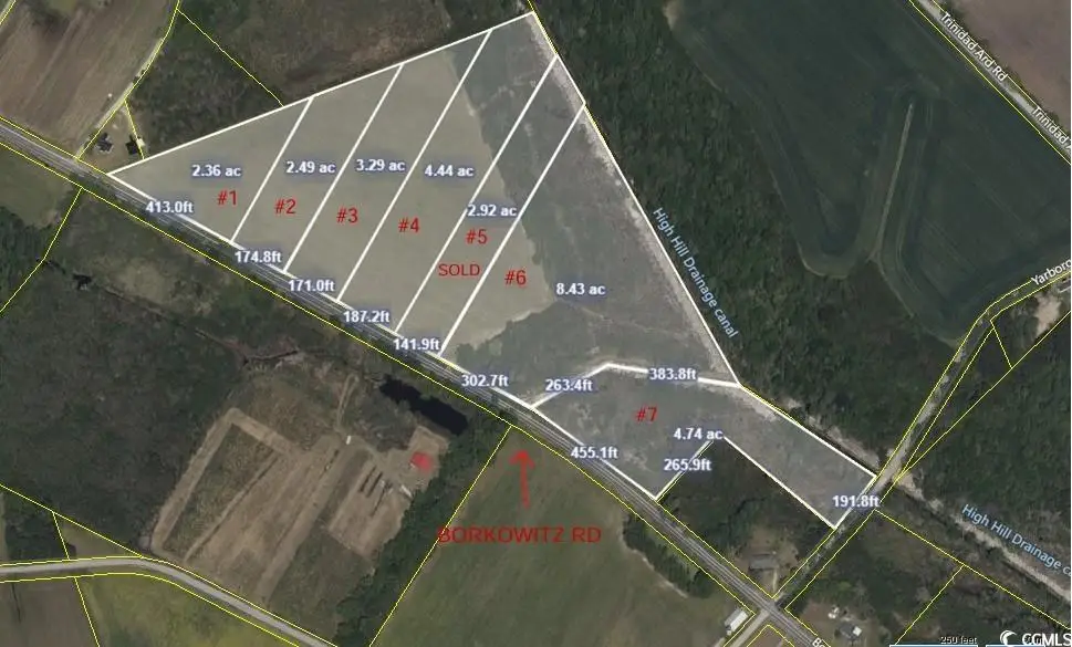 Tract 6 Borkowitz Rd., Scranton, SC 29591 - Image #1