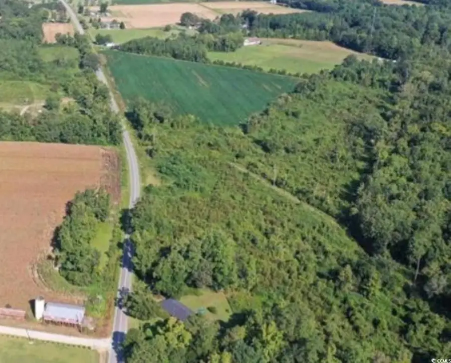 Tract 6 Borkowitz Rd., Scranton, SC 29591 - Image #2