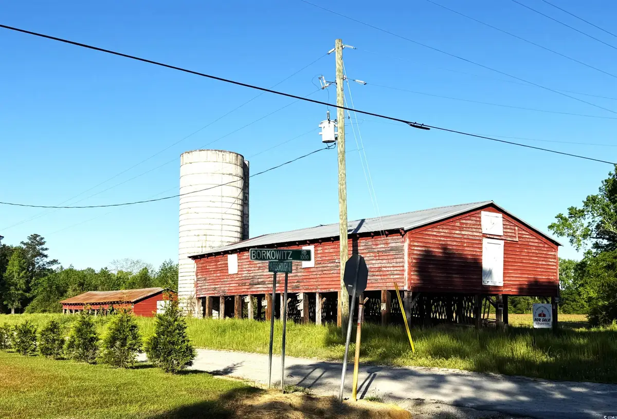 Red Barn Tract Borkowitz Rd., Scranton, SC 29591 - Image #1