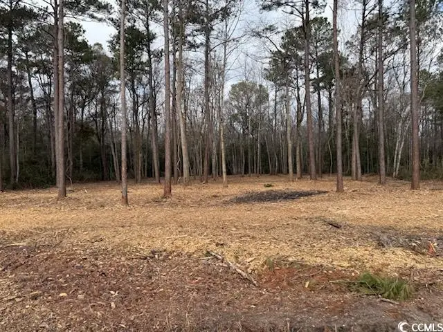#3