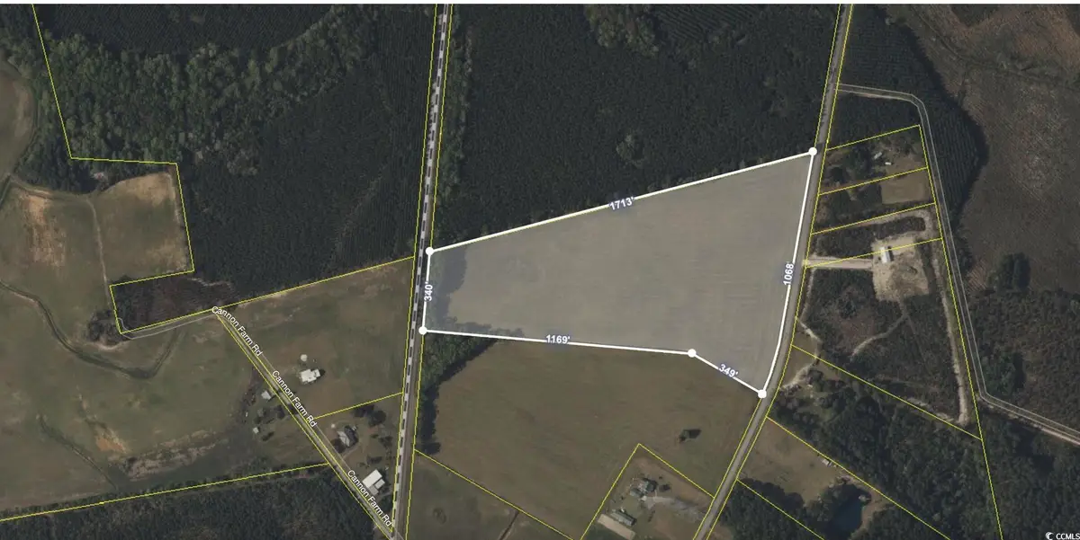 0 Morrisville Rd., Andrews, SC 29510 - Image #1