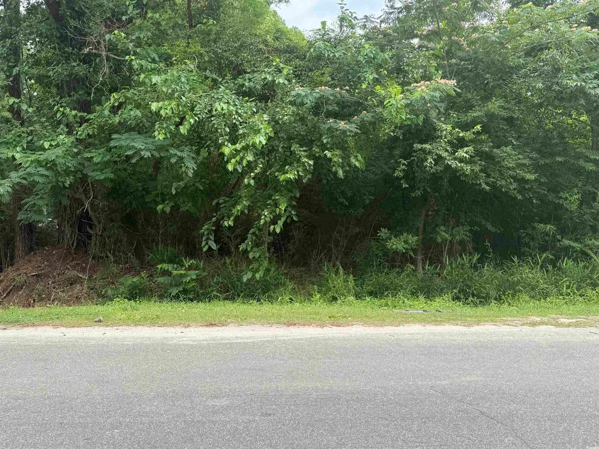 89 Pine Circle, Tabor City, NC 28463 - Image #1