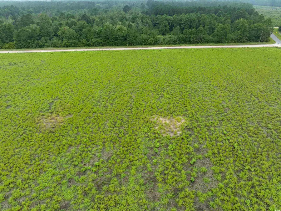 TBD LOT 3 Tansy Rd., Loris, SC 29569 - #3