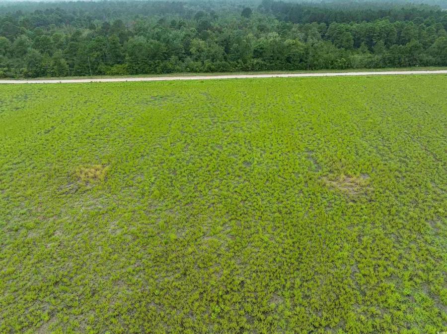 TBD LOT 5 Tansy Rd., Loris, SC 29569 - #3