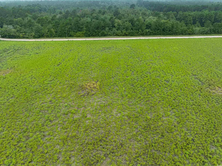 TBD LOT 6 Tansy Rd., Loris, SC 29569 - #3