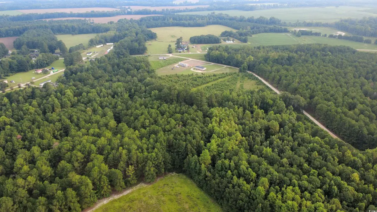 Lot 4 Tooge Hayes Rd., Mullins, SC 29574 - #1