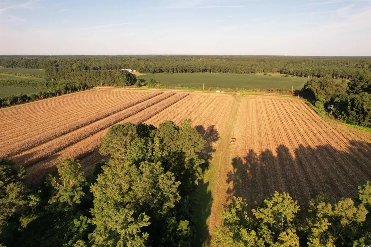 61.77 Acres-TBD Marion Church Rd., Salters, SC 29590 - Image #1
