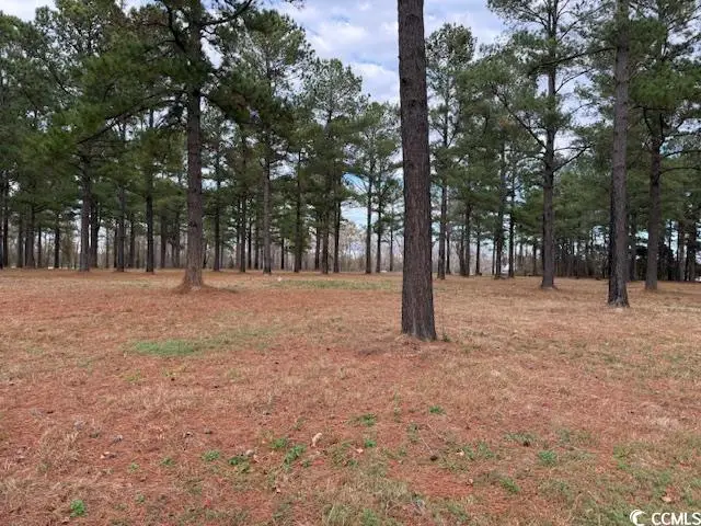 5.87 Acs Rabon Rd., Aynor, SC 29511 - #3