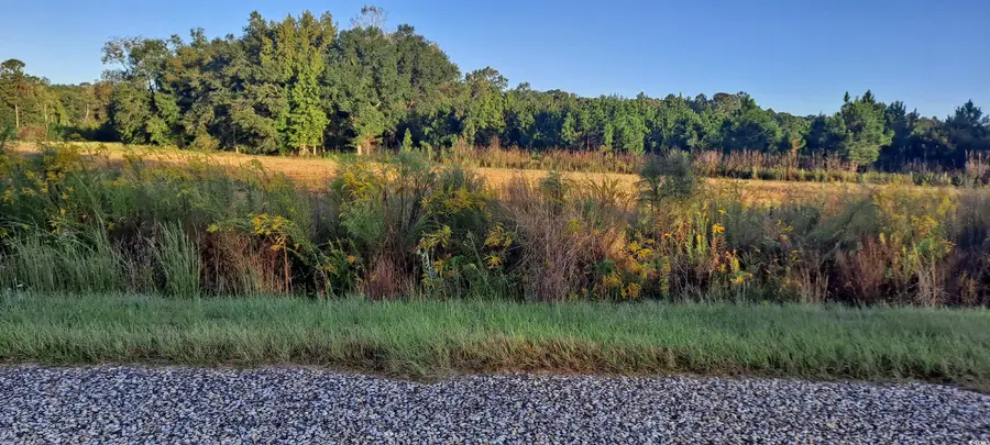 TBD Wee Tee Rd., Andrews, SC 29510 - Image #3