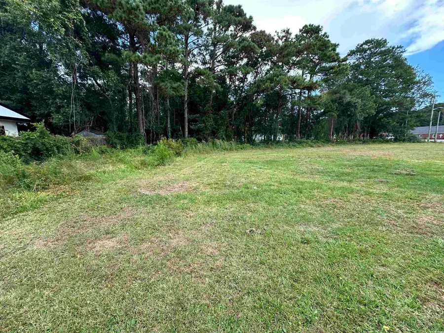 1101 Carver St., Myrtle Beach, SC 29577 - #3