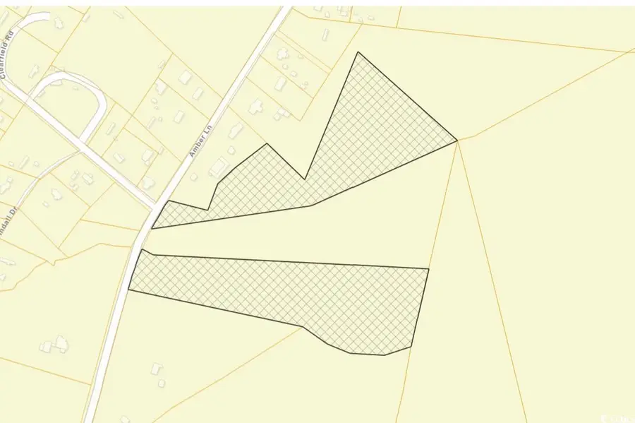TBDParcel #3 Amber Ln., Galivants Ferry, SC 29544 - Image #3