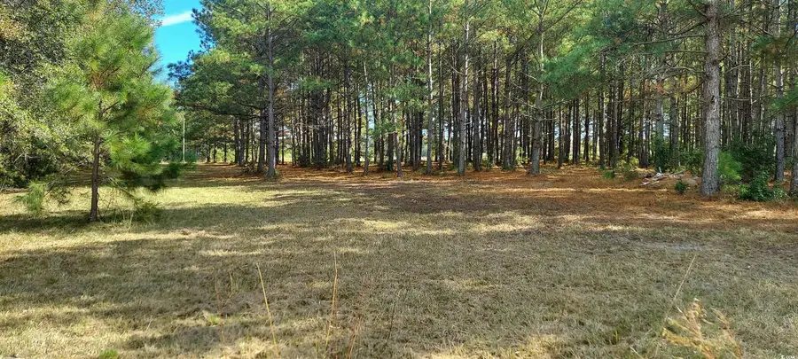 3025, 3029 Fowler Rd., Loris, SC 29569 - Image #3