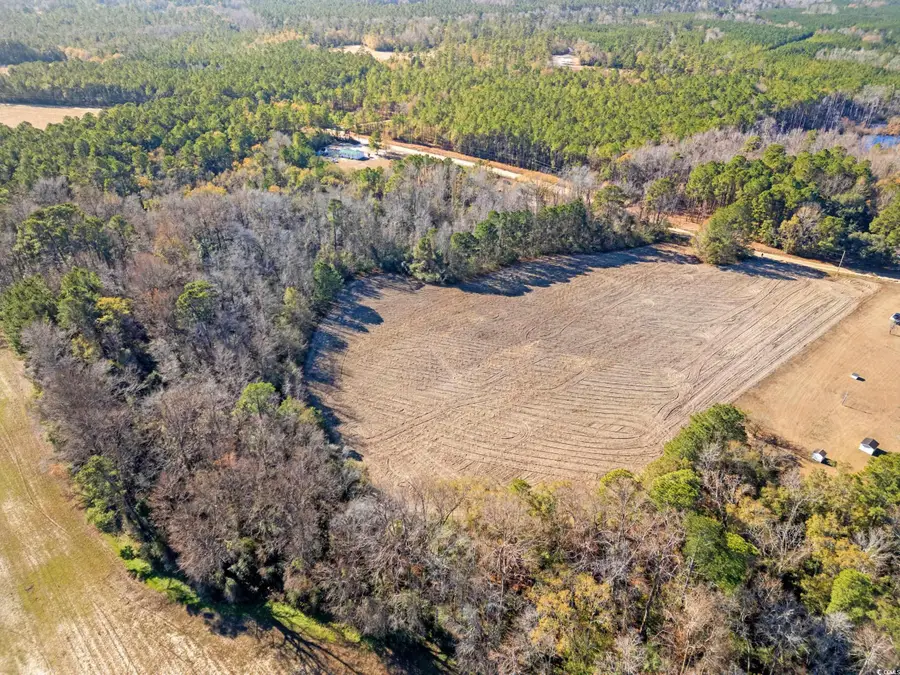 TBD Watts Rd., Loris, SC 29569 - Image #3