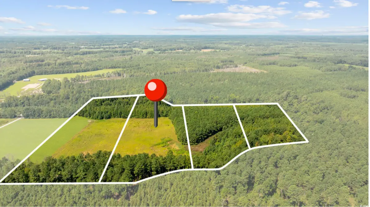 Lot 3 Womack Rd., Nichols, SC 29581 - Image #1