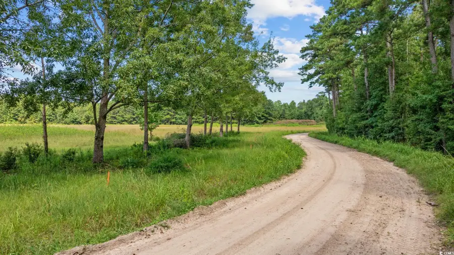 Lot 3 Womack Rd., Nichols, SC 29581 - Image #2