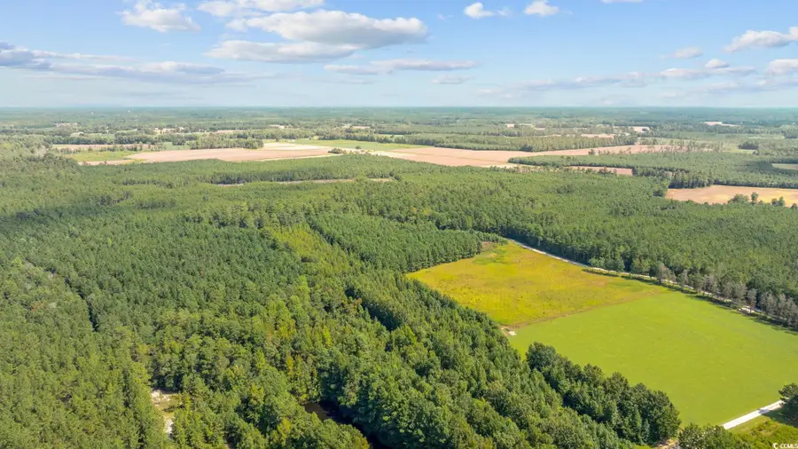 Lot 3 Womack Rd., Nichols, SC 29581 - Image #3