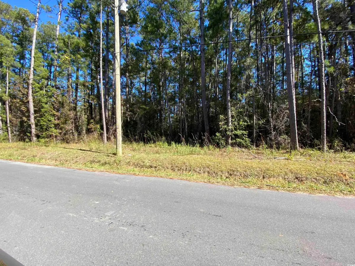 2101 Chavis Rd., Conway, SC 29526 - Image #1