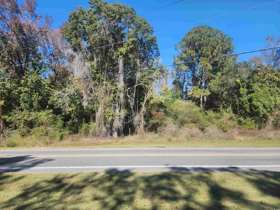 TBD81 Highway 90, Longs, SC 29568 - Image #3