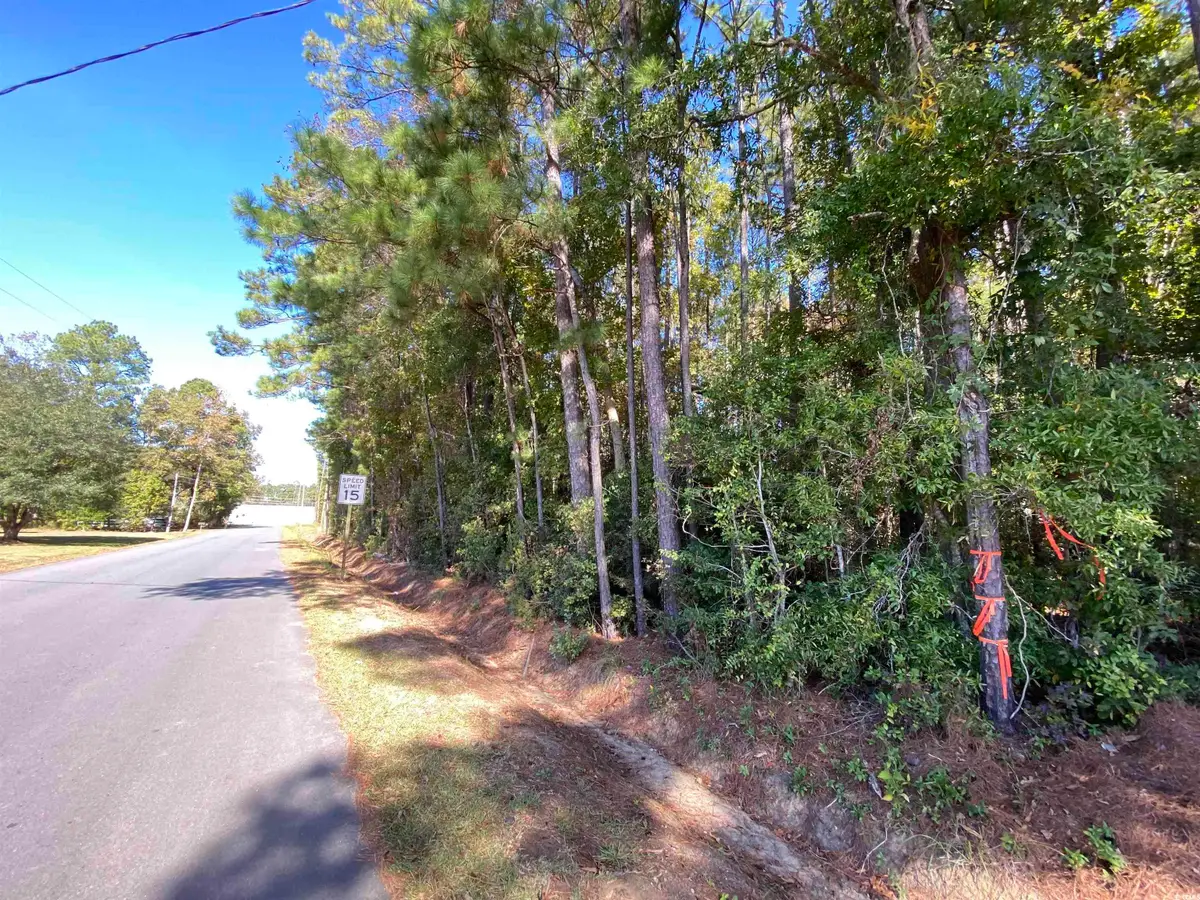 2127 Chavis Rd., Conway, SC 29526 - Image #1