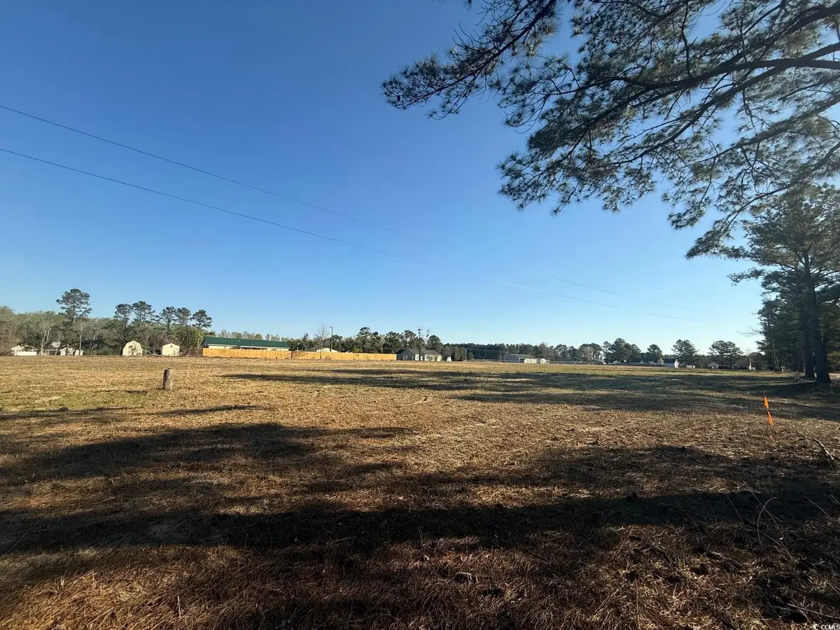 TBD Janice Ct, Latta, SC 29565 - Image #1