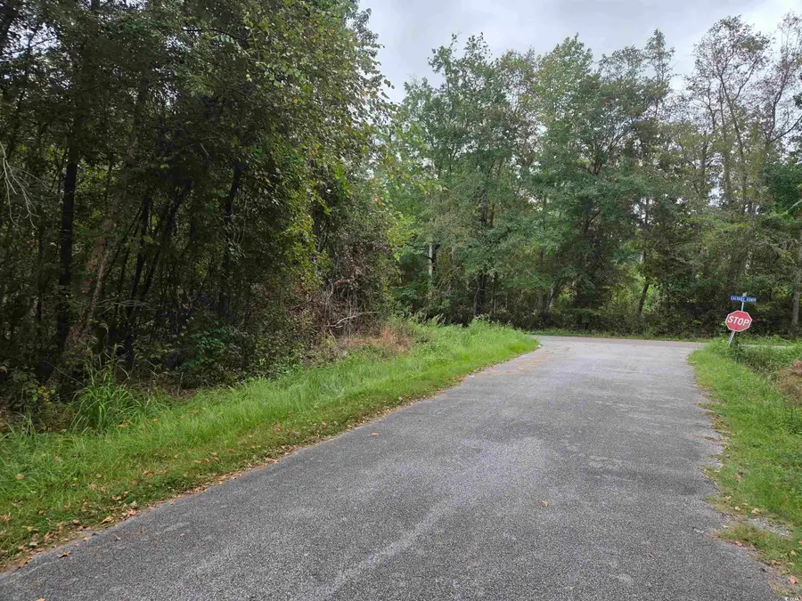 62 Bethany Dr, Kingstree, SC 29556 - Image #3