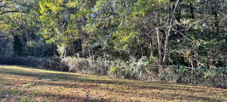 9816 Powell Rd., Georgetown, SC 29440 - Image #3