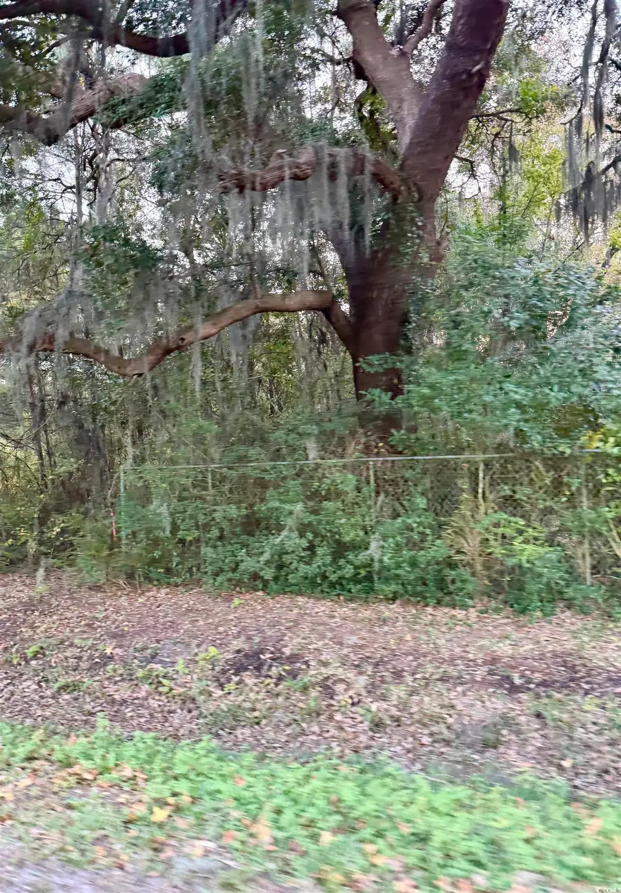 Waverly Rd., Pawleys Island, SC 29585 - Image #2