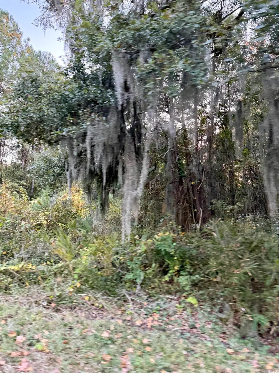 Waverly Rd., Pawleys Island, SC 29585 - Image #3