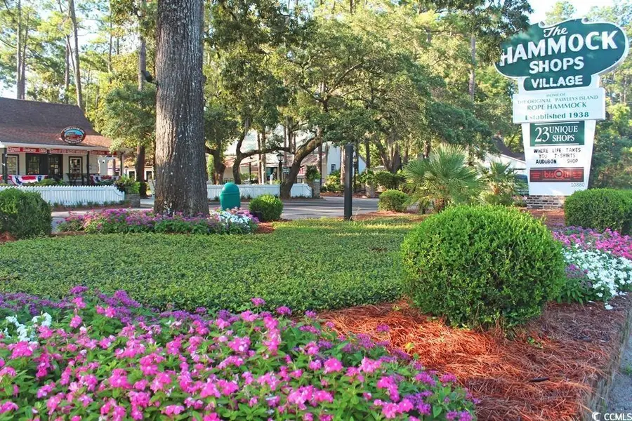 128 Henderson Way, Pawleys Island, SC 29585 - Image #3