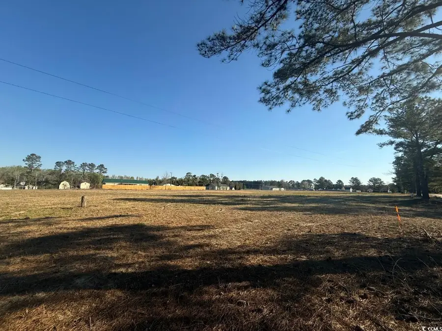 TBD Janice Ct, Latta, SC 29565 - Image #3