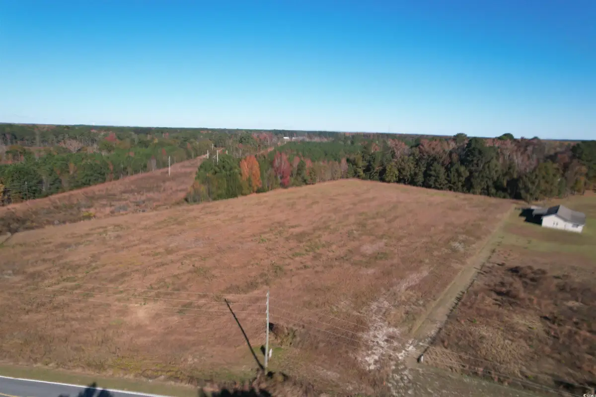 TBD Carroll Rd., Latta, SC 29565 - Image #1