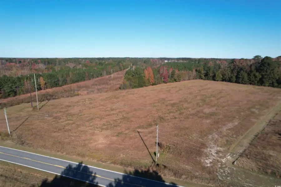 TBD Carroll Rd., Latta, SC 29565 - Image #3
