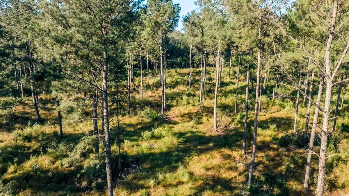 TBD Terrell's Bay Rd., Centenary, SC 29519 - Image #1