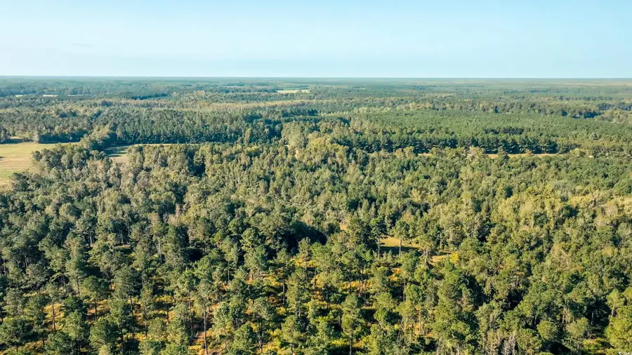 TBD Terrell's Bay Rd., Centenary, SC 29519 - Image #2