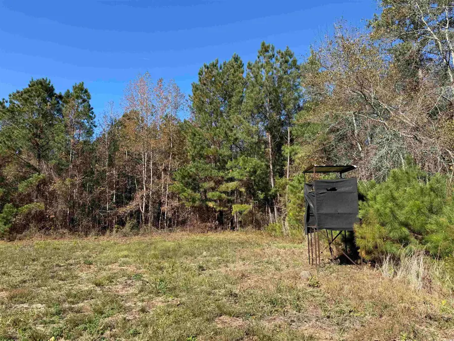 819 Quail Rd., Hemingway, SC 29554 - Image #3