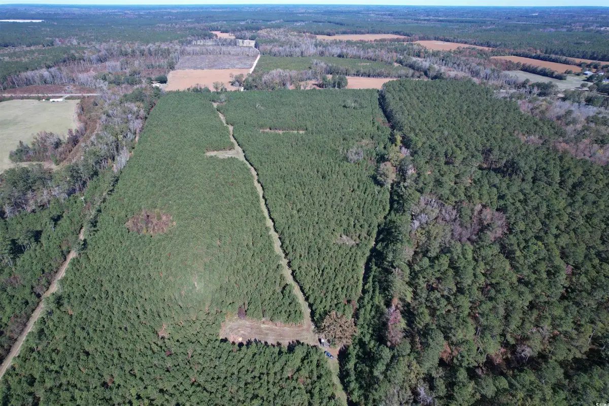 57.40 Acres-TBD Cades Rd., Cades, SC 29518 - Image #1