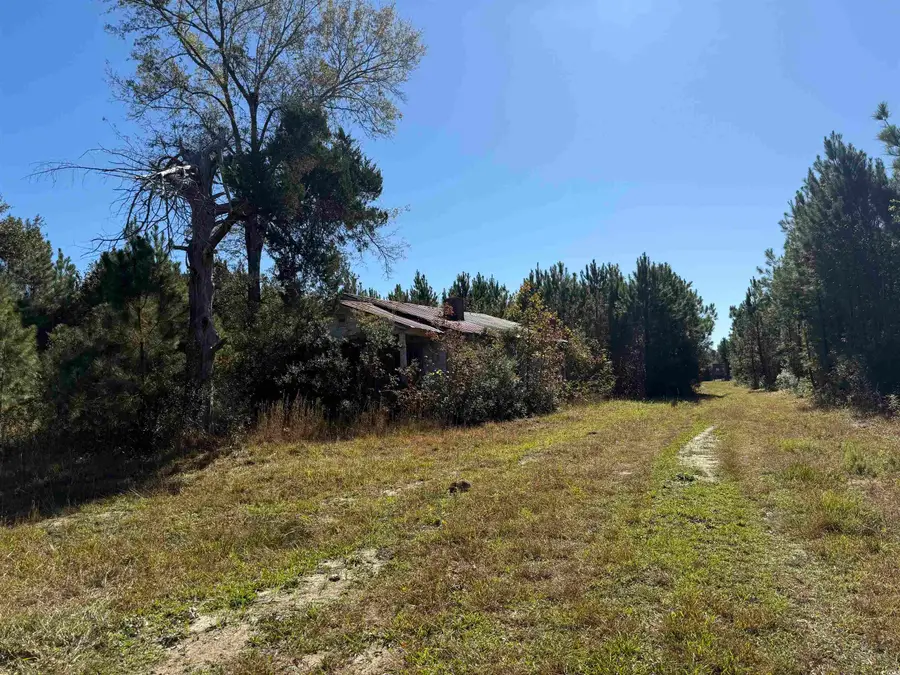 57.40 Acres-TBD Cades Rd., Cades, SC 29518 - Image #3