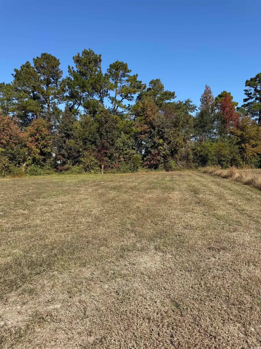 111 Quigley Pl, Aynor, SC 29511 - Image #3