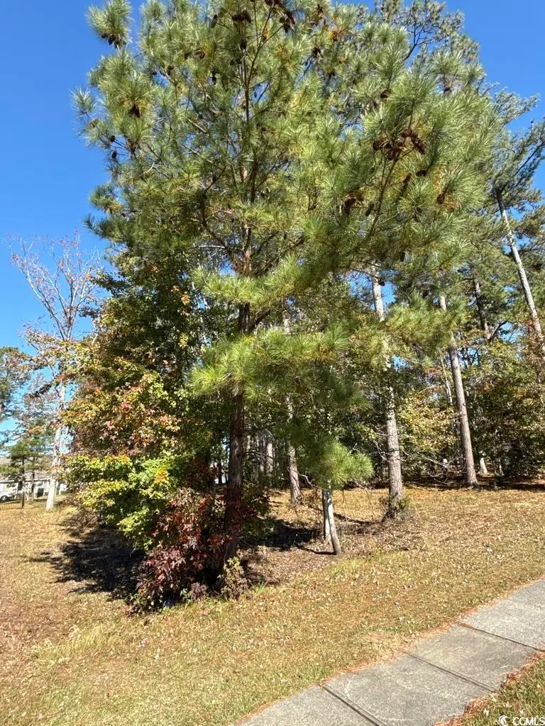 2405 Gist Ln., Myrtle Beach, SC 29588 - Image #1