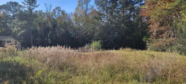 121 Oak Log Lake Rd., Conway, SC 29526