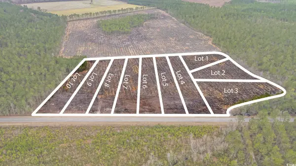 TBD Joyner Swamp Rd., Galivants Ferry, SC 29544