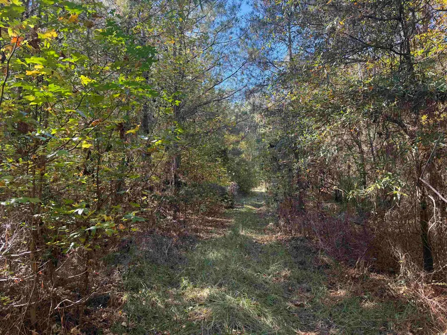 793 Puncheon Creek Dr., Andrews, SC 29510 - Image #2