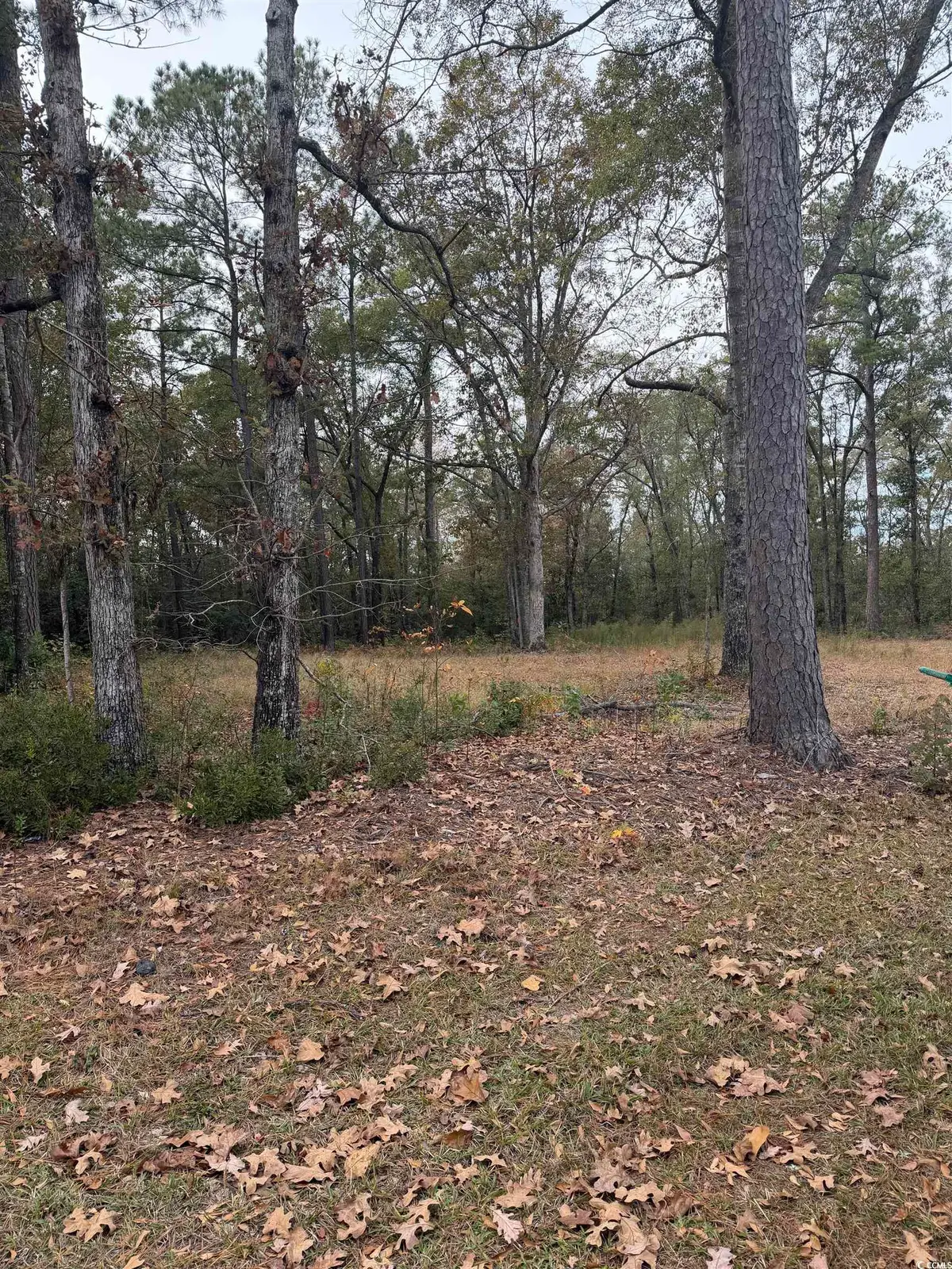 335 Byrnes Circle, Johnsonville, SC 29555 - Image #1