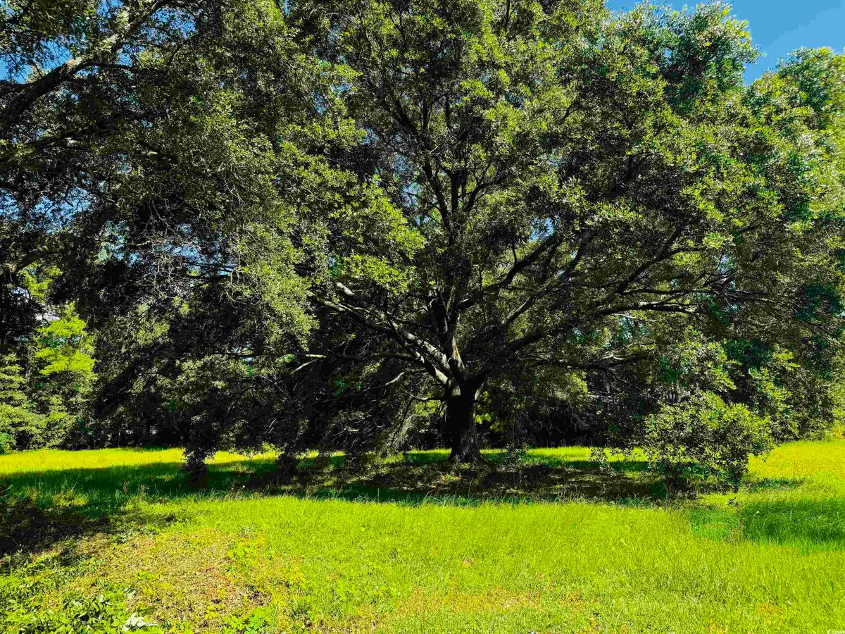 TBD South Bay St., Georgetown, SC 29440 - Image #1