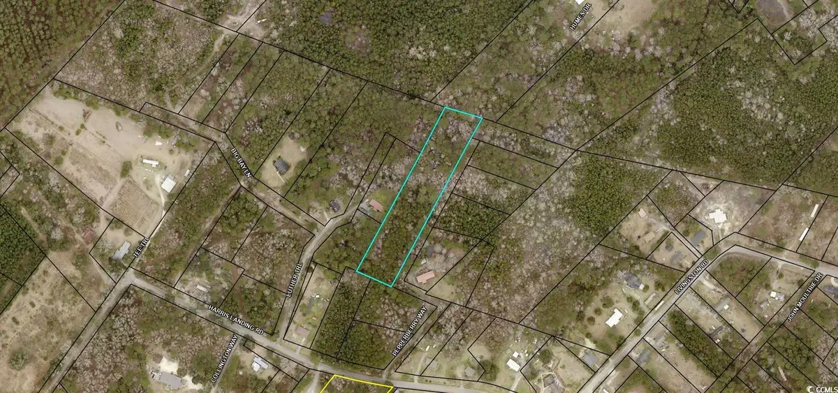TBD Pepperberry Ln., Georgetown, SC 29440 - Image #1