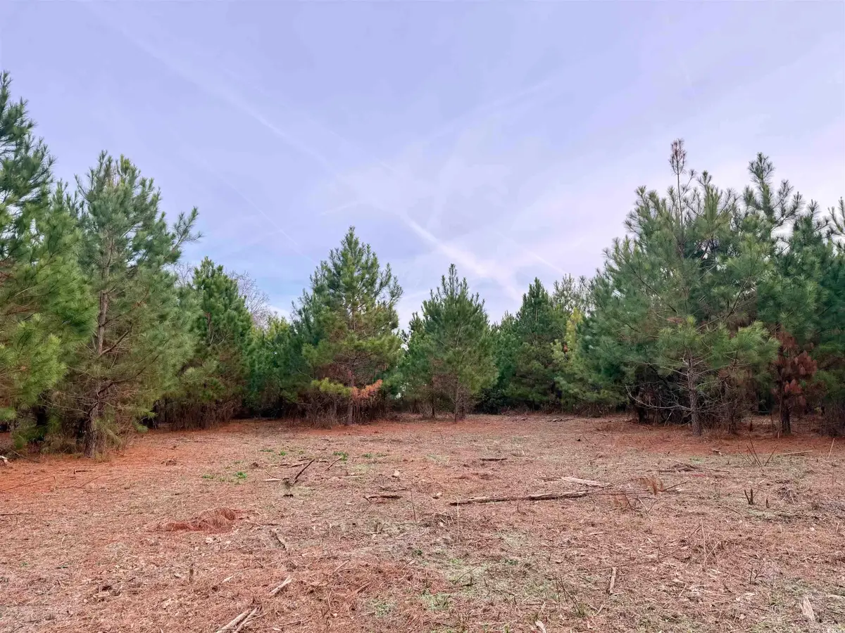 Lot 2 - TBD New Pine Rd., Johnsonville, SC 29555 - Image #1