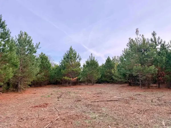 Lot 2 - TBD New Pine Rd., Johnsonville, SC 29555