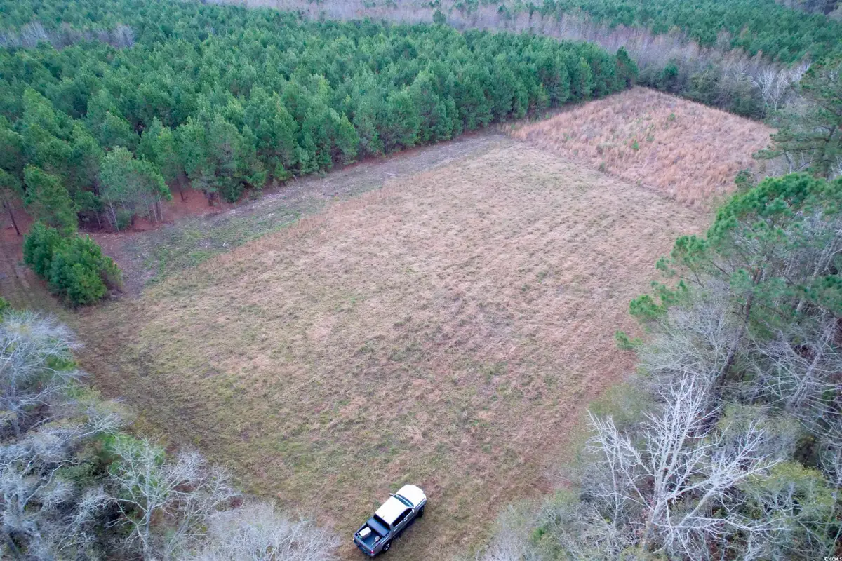 Lot 1 - TBD New Pine Rd., Johnsonville, SC 29555 - Image #1