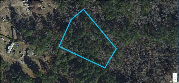 Lot 4-B Beehive Dr., Longs, SC 29568
