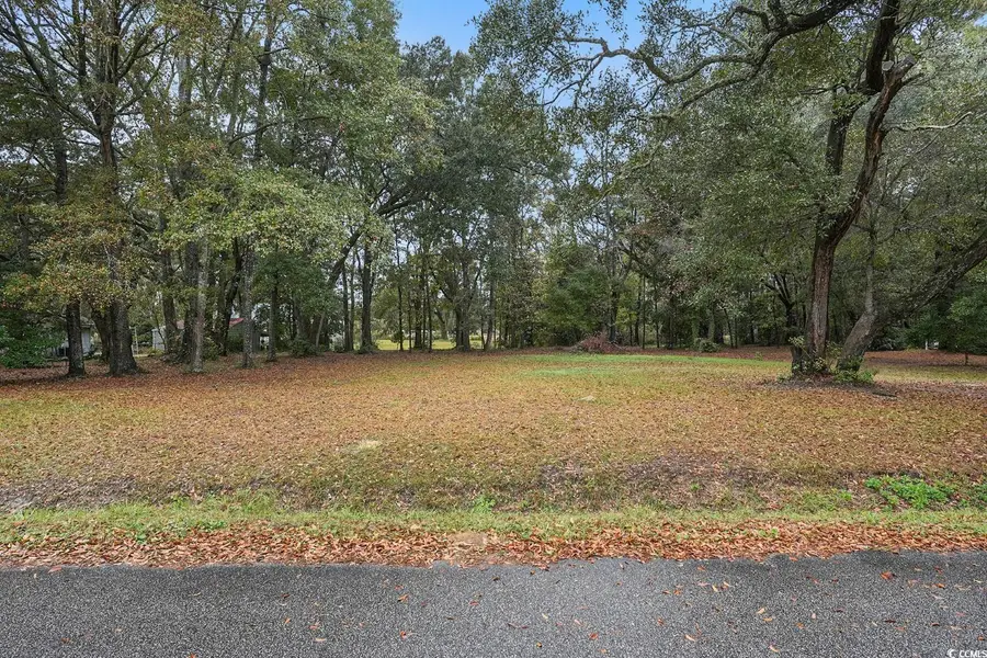 TBD Estate Ln., Georgetown, SC 29440 - Image #3
